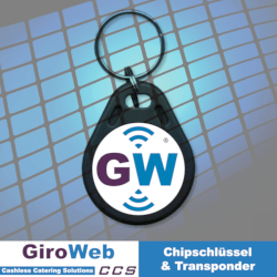 GiroWeb Chipschlüssel & Transponder: RFID KeyFob